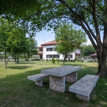 Pensiunea Negoiu โปรุมบาคู เด ซุซ ภายนอก รูปภาพ