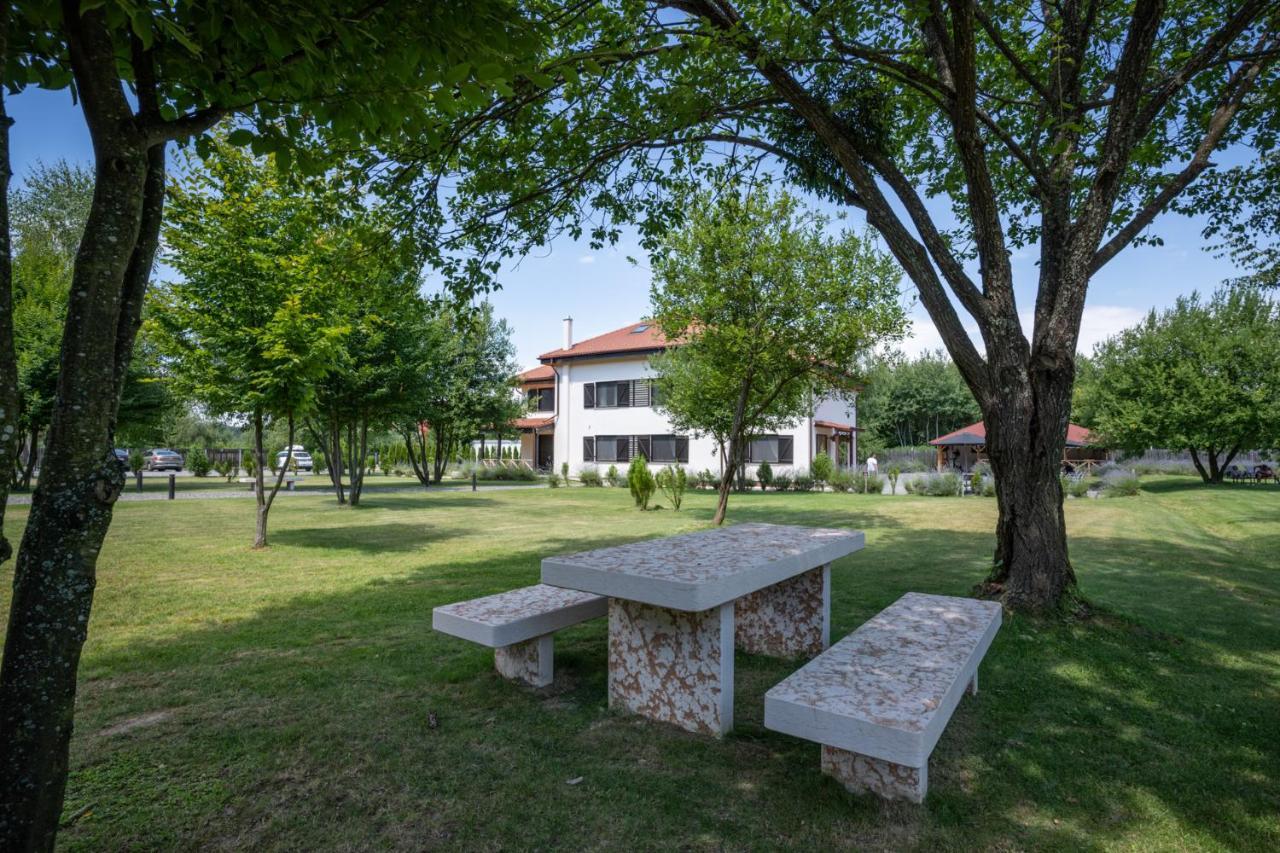 Pensiunea Negoiu โปรุมบาคู เด ซุซ ภายนอก รูปภาพ